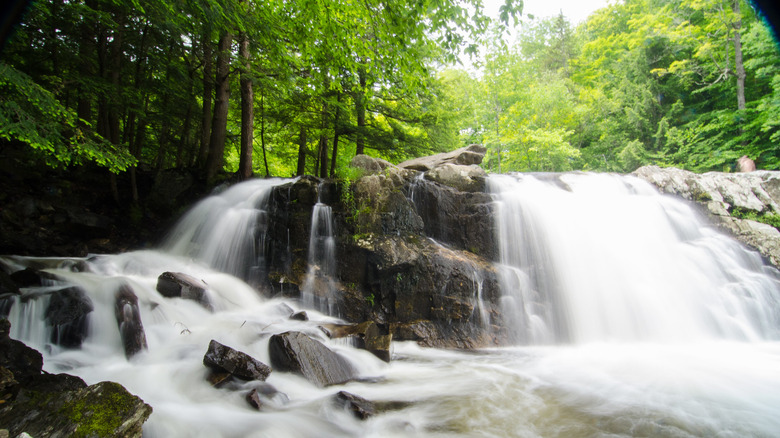 Buttermilk Falls with trees