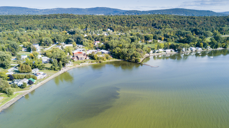 Aerial view of algae bloom on Lake Champlain, St. Albans Bay, St. Albans, Vermont, USA
