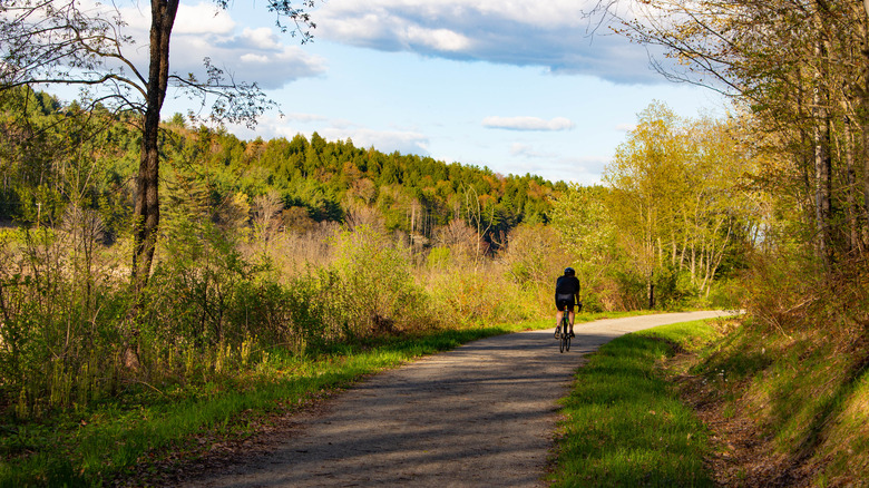 Biker pedals down the Lamoille Valley Rail Trail