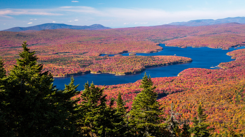 View of foliage from the summit of Dover, Vermont's Mount Snow