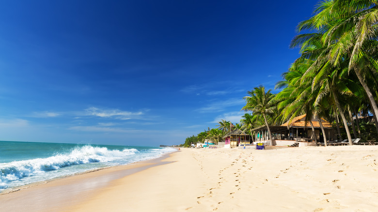 White sand beach, surf, and palm trees of Mui Ne