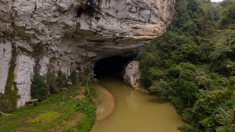 Cave entrance through limestone cathedrals surrounded by forests