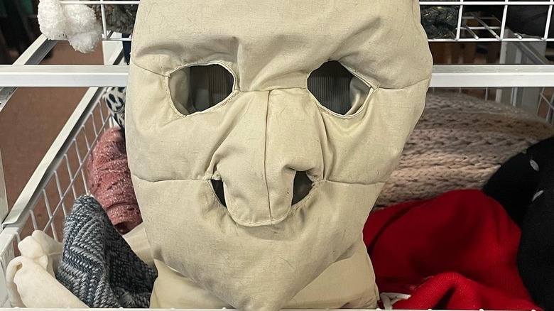 An authentic Eddie Bauer Goose Down Face Masks stares menacingly