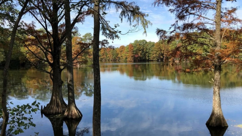 A view over Lake Smith in fall.