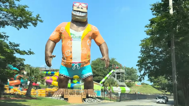 Hugh Mungous at Ocean Breeze on clear summer day.