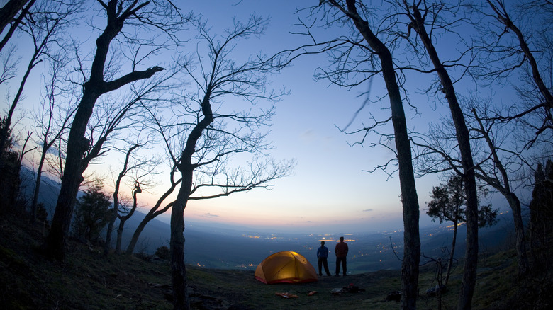 nighttime shot along the Appalachian Trail in the Blue Ridge Mountains