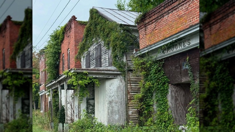 Vine-covered abandoned buildings in Union Level, with a white building with a porch between two brick buildings surrounded by tall grass under a blue sky