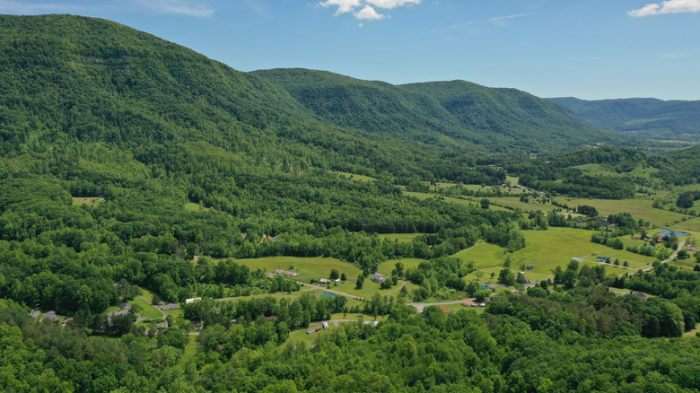 Green landscape at Big Stone Gap's Powell Valley