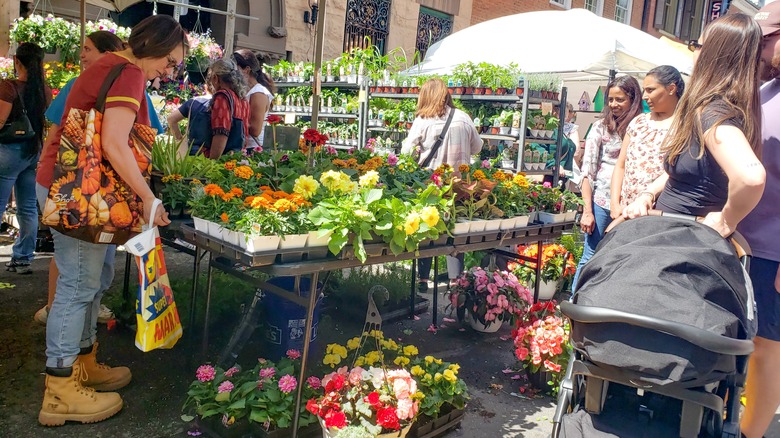 Women looking at a flower market