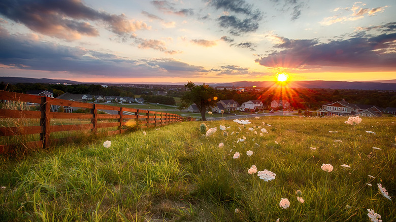 Sunset over pasture near Virginia Tech campus