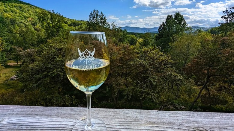 Views of a wine glass on a ledge overlooking a scenic landscape in Virginia, with rolling hills in the backdrop.