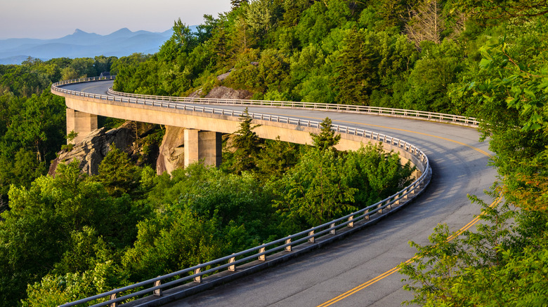 A winding road along Skyline Drive in VA, surrounded by lush greenery and hazy mountains in the distance.
