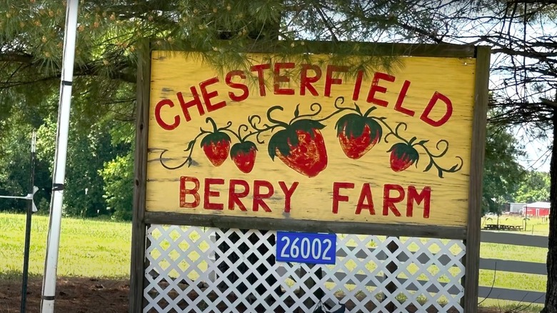 Red-lettered sign advertising chesterfield berry farm