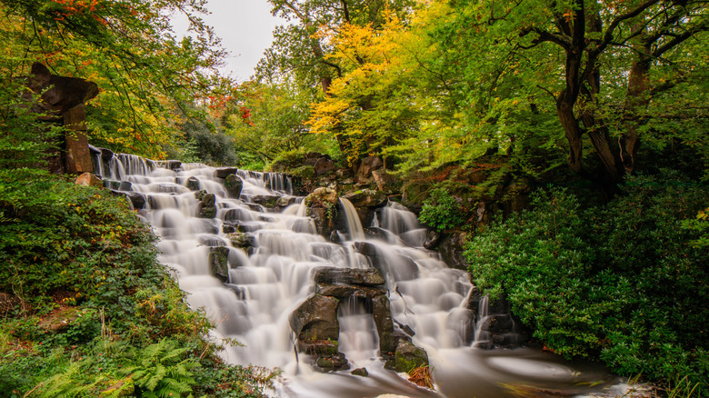 Cascade Falls surrounded by lush green trees in Virginia
