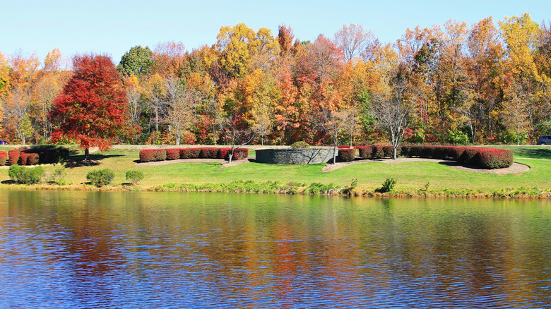 Fall foliage at a local lake in Chantilly, Virginia