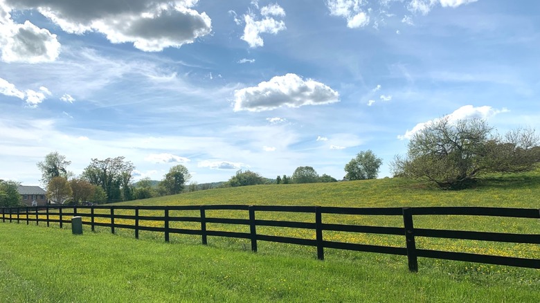 Farm field and fence in Marshall, Virginia