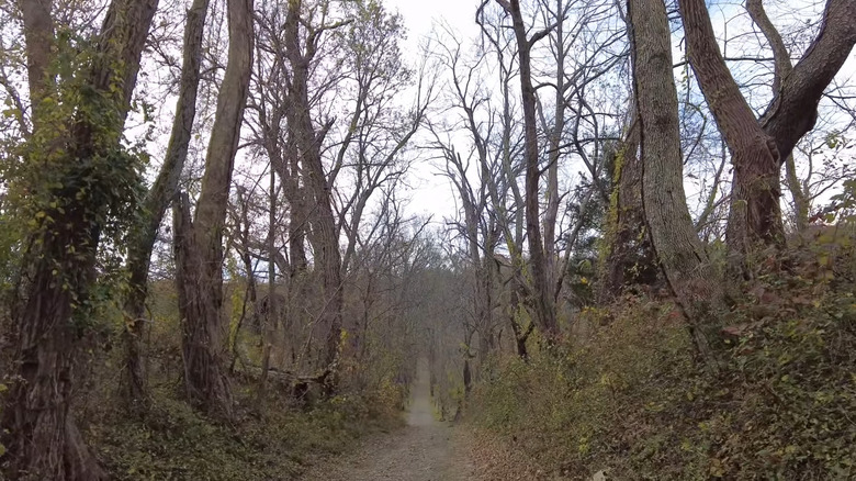 The Boston Mill Road Trail in Sky Meadows State Park
