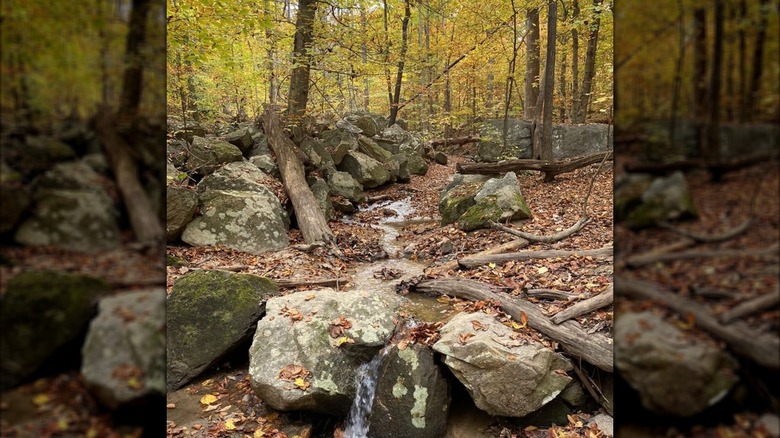 Lewis G. Larus Park in Richmond, Virginia