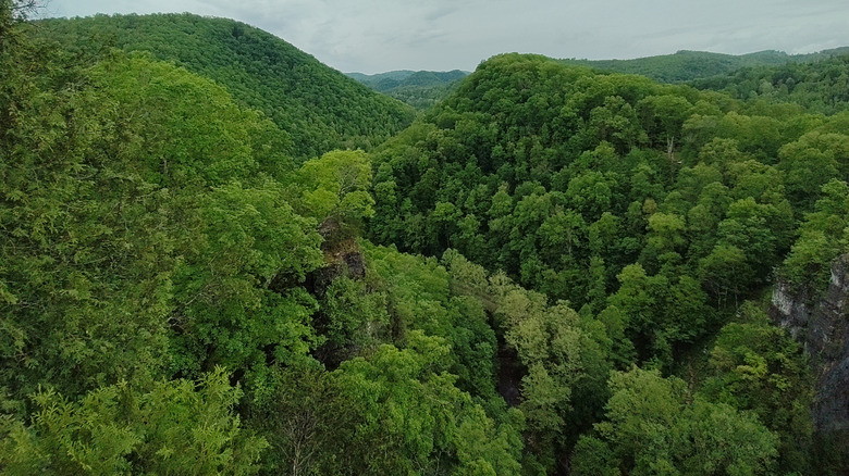 An aerial view of trees and mountains in Natural Tunnel State Park