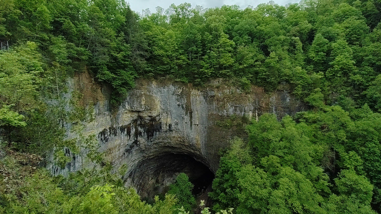 An aerial view of a rock formation surrounded by trees in Natural Tunnel State Park