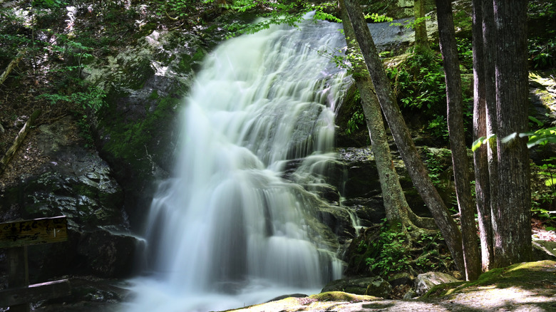 A cascade at Crabtree Falls, Virginia, flows through the lush, hardwood forest.