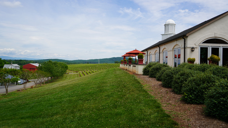 Barboursville Vineyards in Barboursville, Virginia