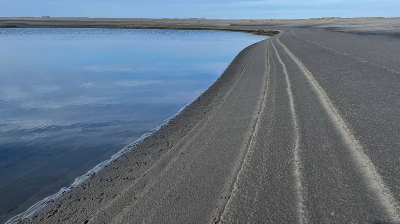 A long stretch of dark sand beach bordered by a body of water on Parramore Island, Virginia