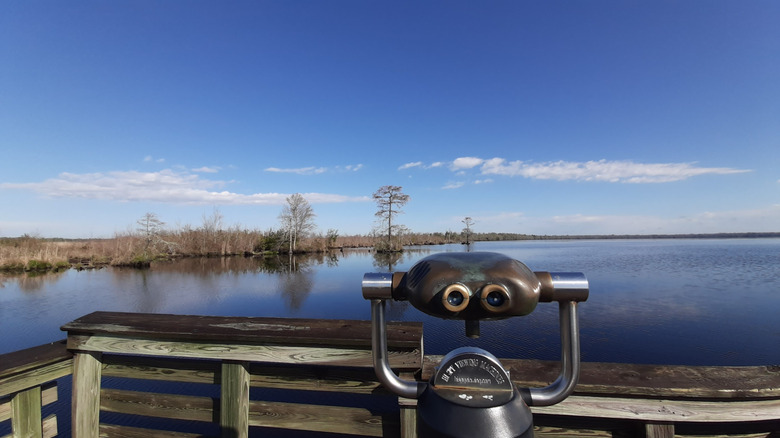 A tower viewer on the reflection pier of Lake Drummond, part of the Great Dismal Swamp National Wildlife Refuge, in Southeast Virginia