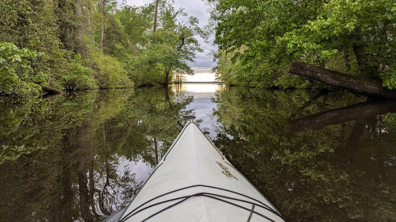 A kayaker paddling on the calm water of Lake Drummond, part of the Great Dismal Swamp National Wildlife Refuge, in Southeast Virginia