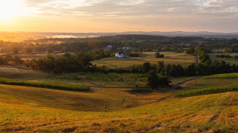 Rolling hills before Lost Mountain Vineyards at sunset