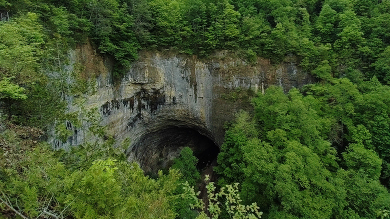 A huge hole in the tree-covered mountain at Natural Tunnel State Park, in Virginia.
