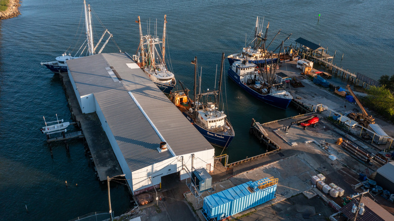 Commercial fishing vessel in Hampton County, Virginia