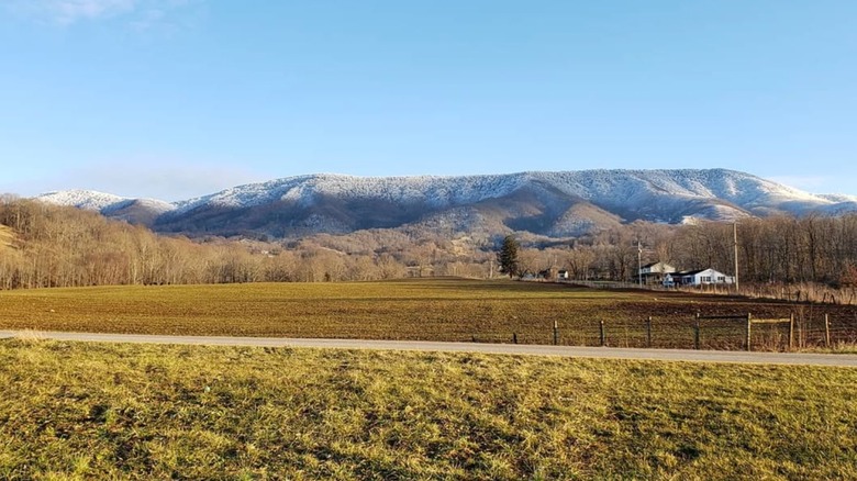 View of field, mountains, and homes in Rosedale, Virginia