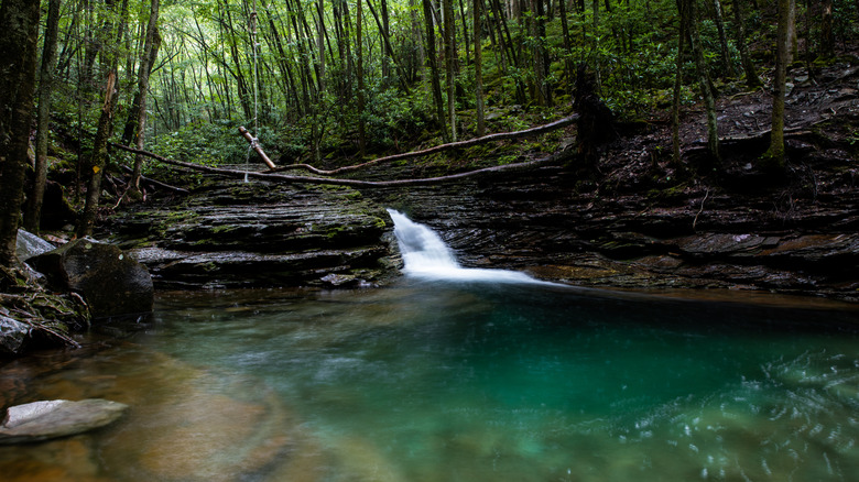 Algae-covered floor of the Devil's Bathtub giving it an emerald color, Virginia