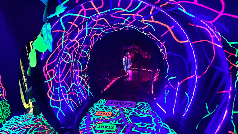 Inside The Looking Glass indoor space at Ix Art Park in Charlottesville, Virginia