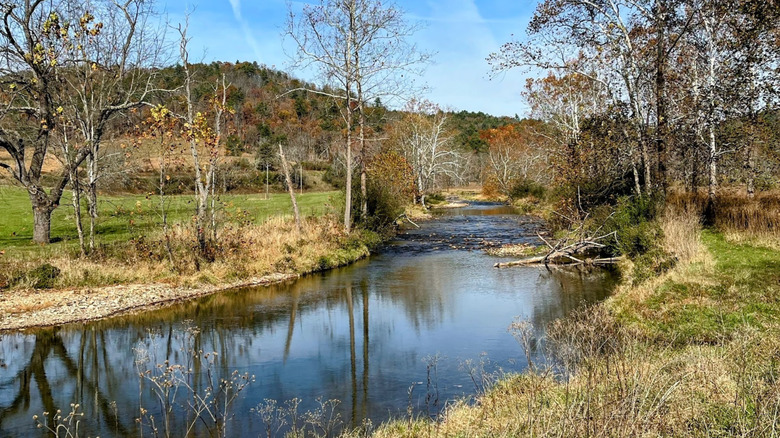 The Bullpasture River running through Hayfields State Park in Virginia