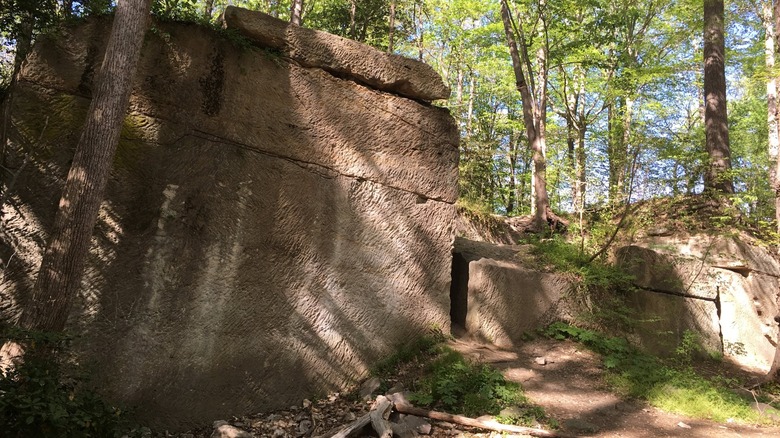 Large cut rocks in quarry in forested area Government Island