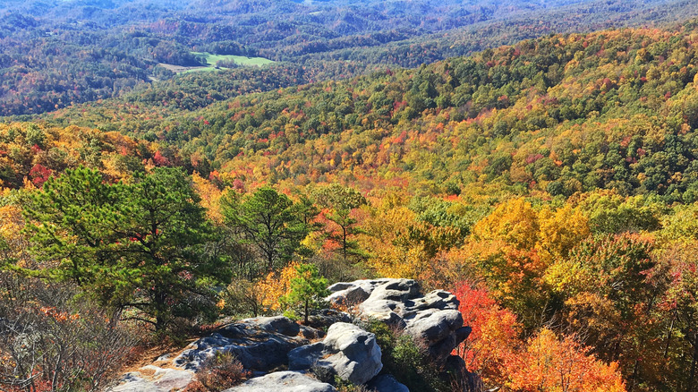 Hiking trail in Virginia during the fall season