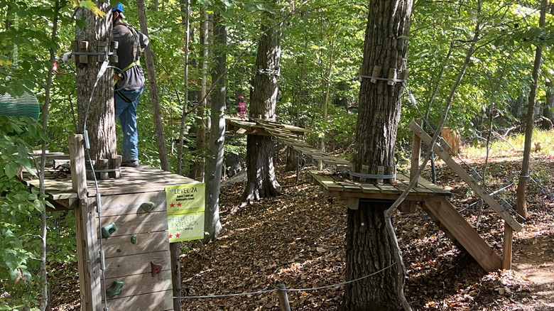An aerial park with a person stand atop a small rock wall