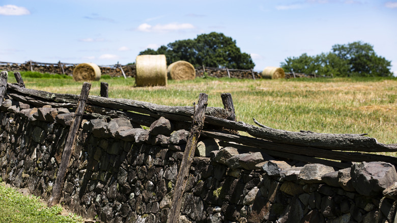 A stone fence and field in Upperville, Virginia