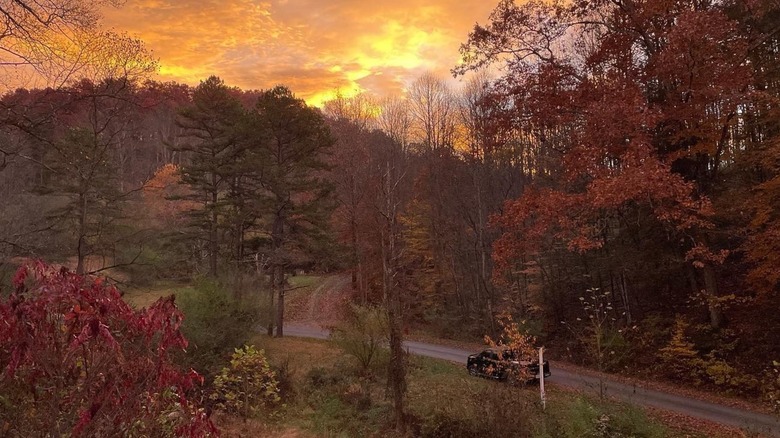 Truck drives on road with fall foliage at sunset