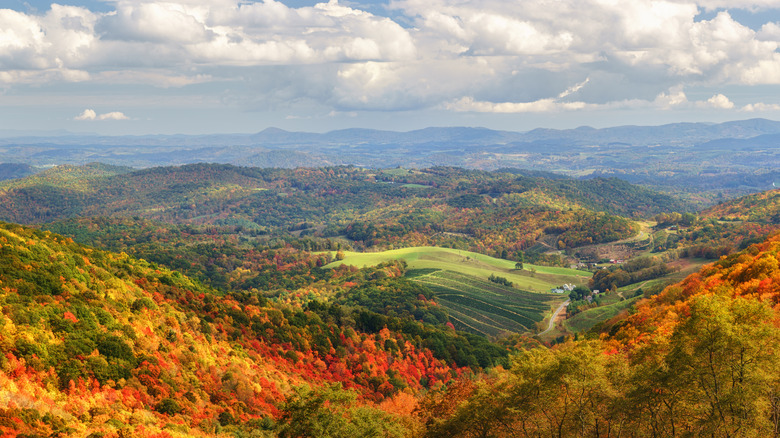 Fall landscape across Grayson Highlands State Park in Virginia