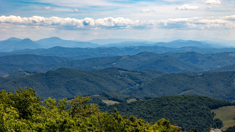 Grayson Highlands State Park scenic mountain view in Mouth of Wilson, Virginia