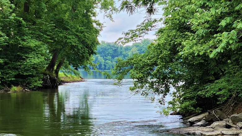 Potomac River in Seneca Regional Park