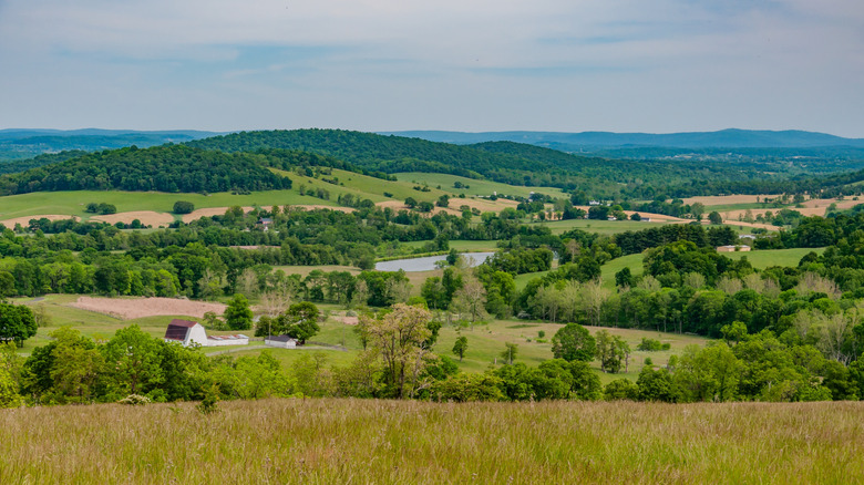 Farms dot the hills of Sky Meadows State Park, framed by mountains in the distance