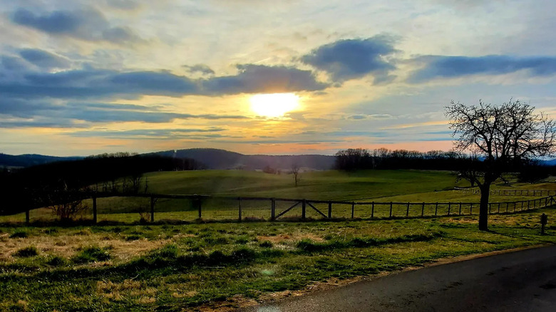 Sunrise over a meadow within Sky Meadows State Park in Virginia
