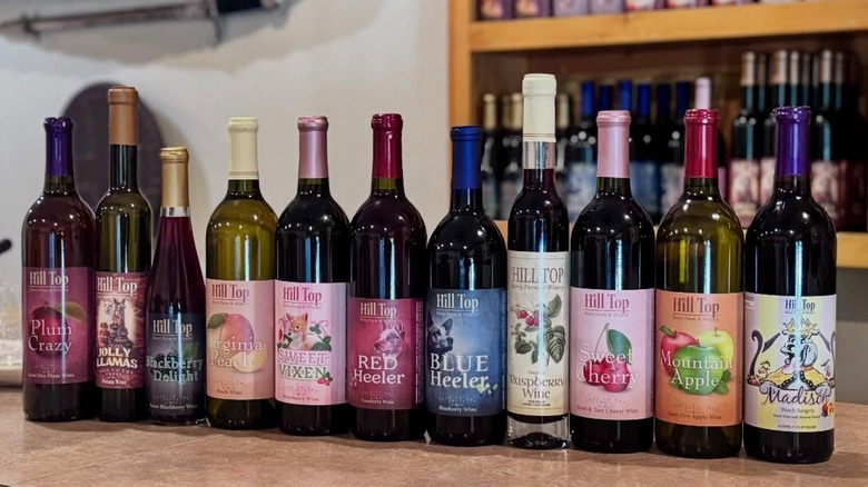 View of the fruit wines at Hill Top Winery
