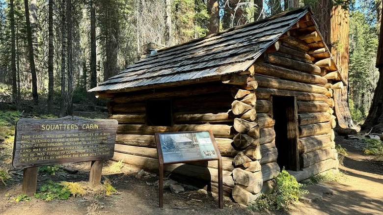 A small log cabin on the Dead Giant Trail in Sequoia National Park