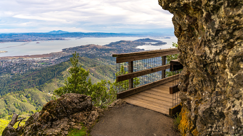 The Bay Area seen below from a mountain trail at Mount Tamalpais State Park.
