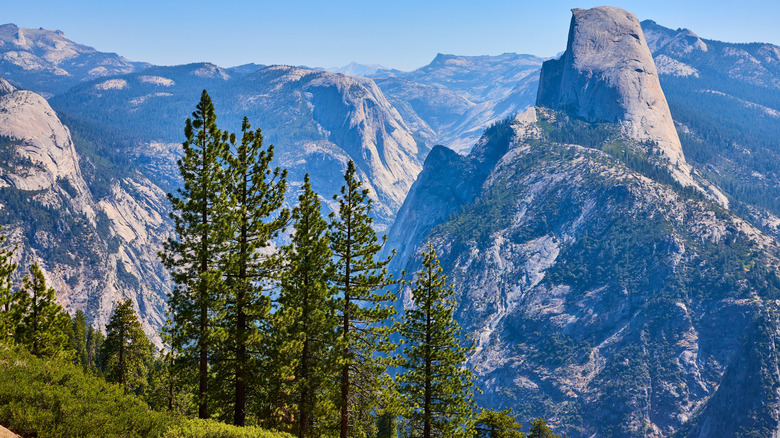 The view of Half Dome from Yosemite's Washburn Point on Glacier Point Road.